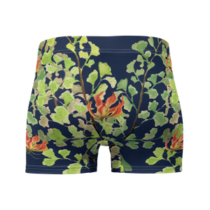 Ferntastic (Navy) Boxer Briefs