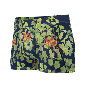 Ferntastic (Navy) Boxer Briefs