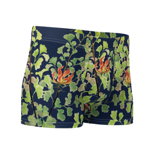 Ferntastic (Navy) Boxer Briefs