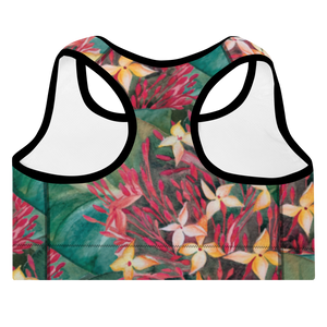 Ixora Padded Sports Bra