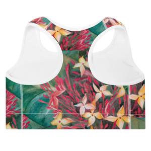 Ixora Padded Sports Bra