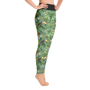 Toucan Yoga Leggings (Black Waistband)